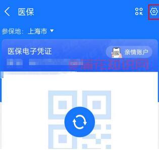 支付宝使用知识 手机可以修改医保密码吗